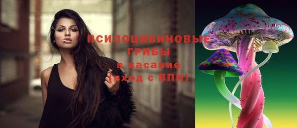 бошки Арсеньев