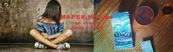 тгк Болотное