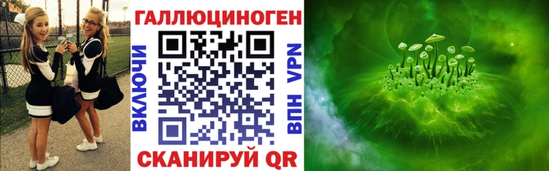 Псилоцибиновые грибы Psilocybe Беломорск